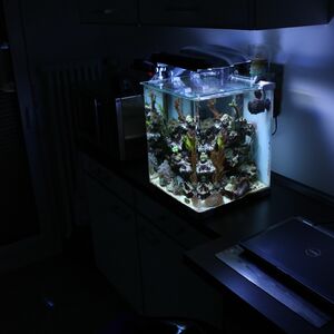 40l Meerwasser Nano