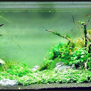 Bilder Aquarium