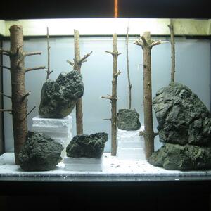 Aquascape 2.0