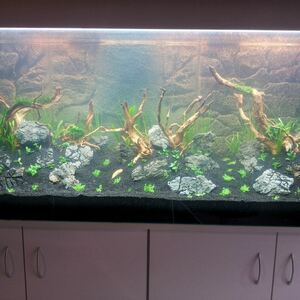 Meine AquaScapes