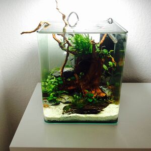 Nano Cube 20L