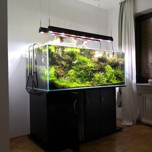 Aquascaping