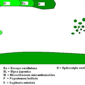 Pflanzplan