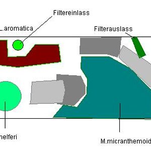 Pflanzplan