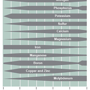 Nutrientavailability Ph