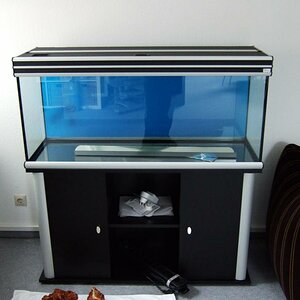 Aquarium Ganz Leer