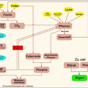 Filterdiagramm