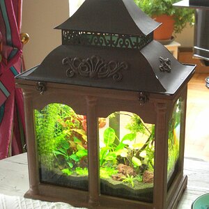 Retro Aquarium 17 Liter netto