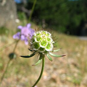 Naturbilder