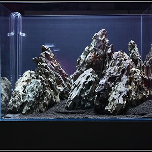 Hardscape23h45