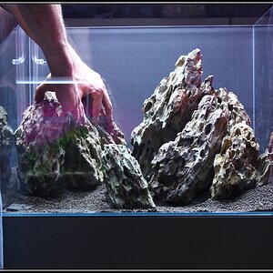 Hardscape23h49