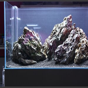 Hardscape24h02