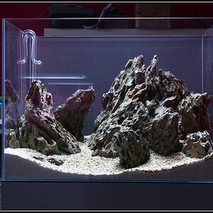 Hardscape15h34