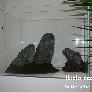 littleecospace000