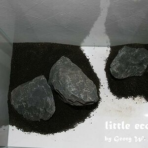 littleecospace001