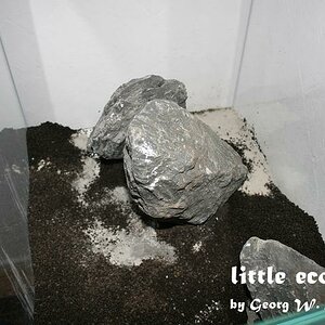 littleecospace003