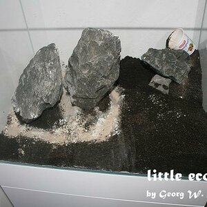 littleecospace005