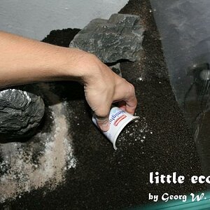 littleecospace006