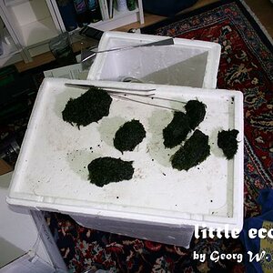 littleecospace014