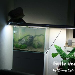 littleecospace015