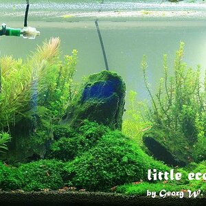 littleecospace018