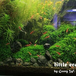 littleecospace022