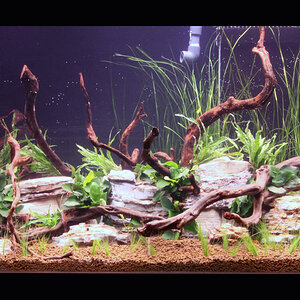 1000l Aquarium