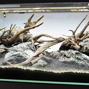 Hardscape