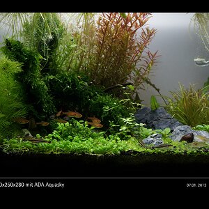 Glasgarten 360x250x280 mit ADA Aquasky Bild 03