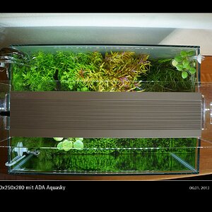 Glasgarten 360x250x280 mit ADA Aquasky Bild 04