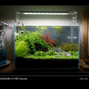 Glasgarten 360x250x280 mit ADA Aquasky Bild 09