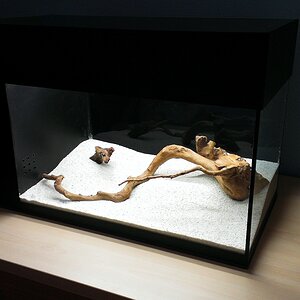 Gesamtansicht v.r. Hardscape