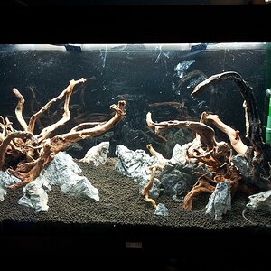 7 Hardscape