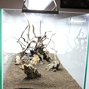 Hardscape3