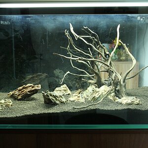 Hardscape4