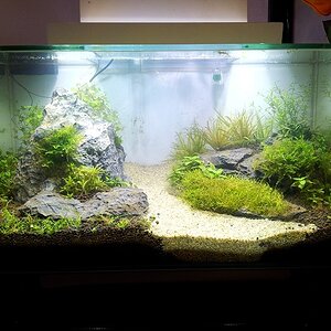 Marions Fluval I