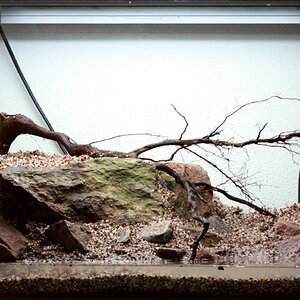 Hardscape 02