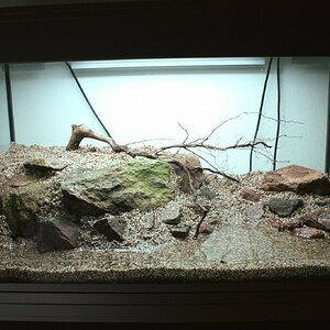 Hardscape 03