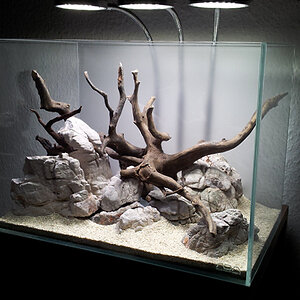 ADA M hardscape