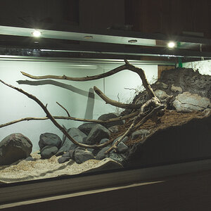 Paludarium alt