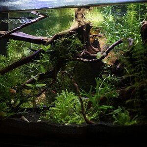 25l Tank