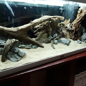 hardscape 2