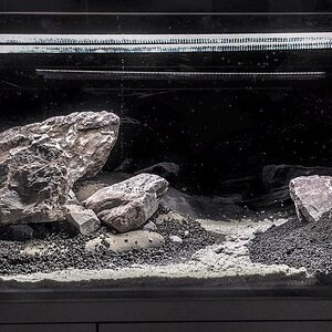 hardscape