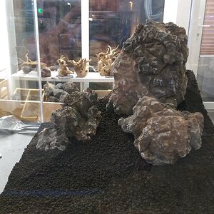 3 - Hardscape entsteht