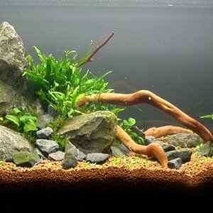 Ada60 - Tag - 01#2