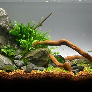 Ada60 - Tag - 03#1