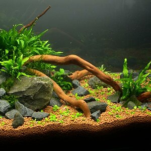 Ada60 - Tag - 03#5