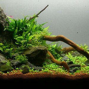 Ada60 - Tag - 11#2