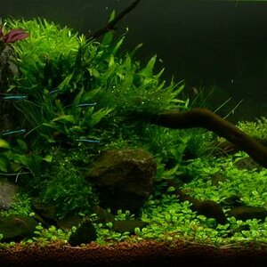 Ada60 - Tag - 24#8