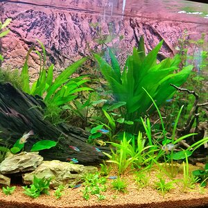 Mein Aquarium Vision 180 Juwel